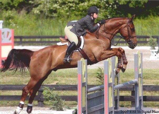 And here is me on one of my horses, who wishes he could live in one of John's barns. 
