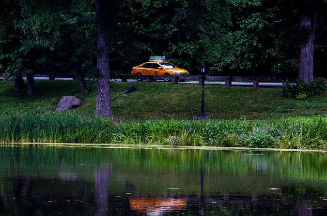 CAR IN CENTRAL PARK