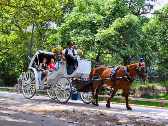 horse-and-carriage-central-park-580x435