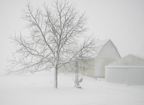 Barn In A Blizzard